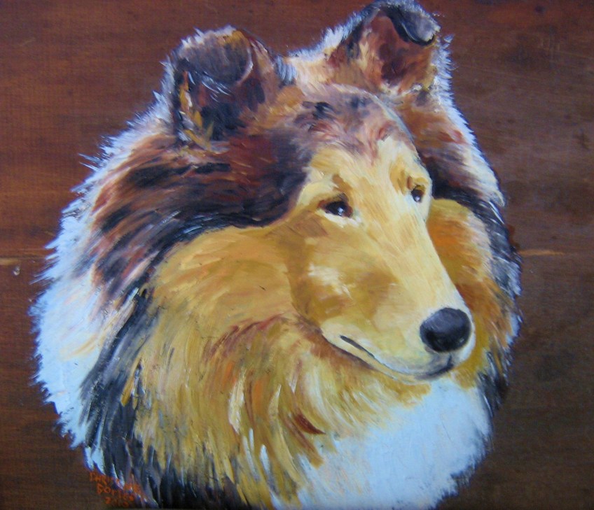 Collie
