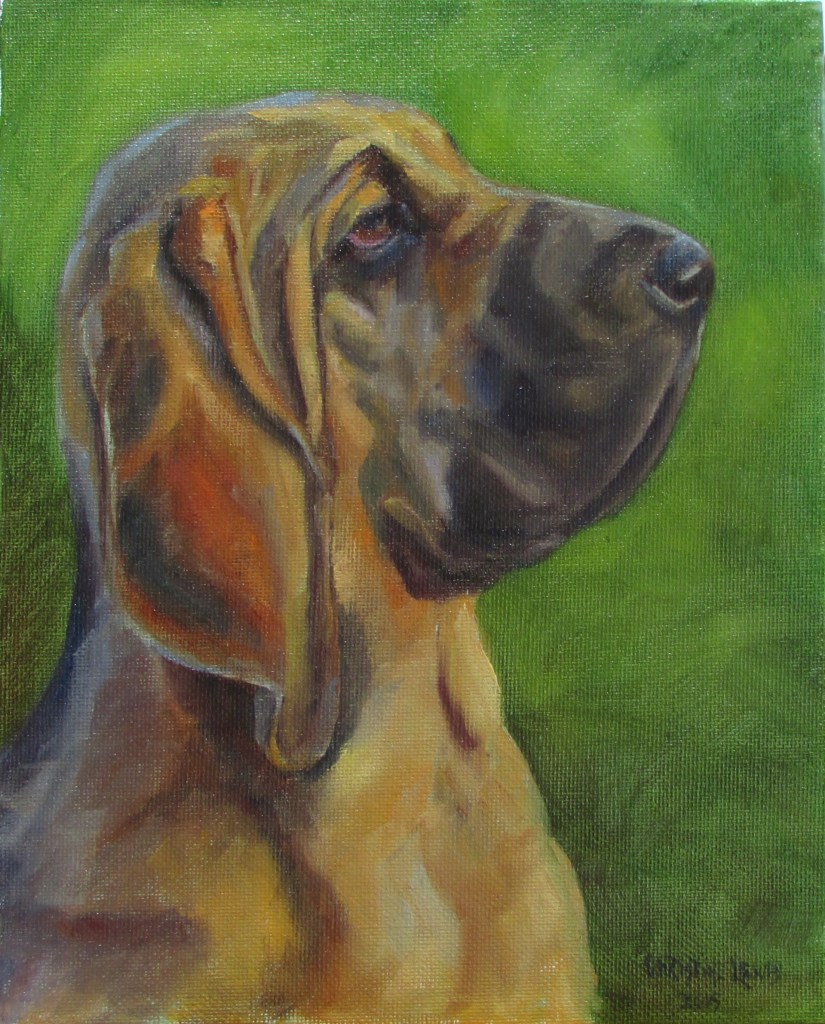 Bloodhound